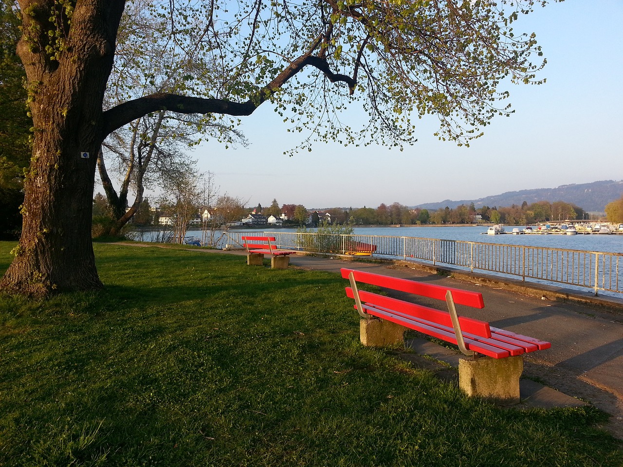 组赛第一轮 组赛第一轮