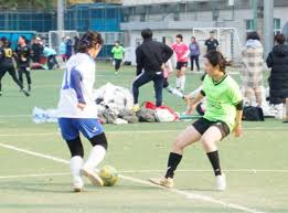 护成绩斐然 护成绩斐然