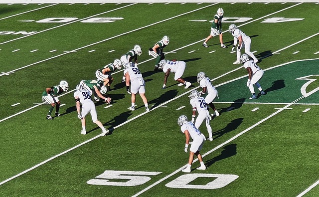 体育强省 体育强省