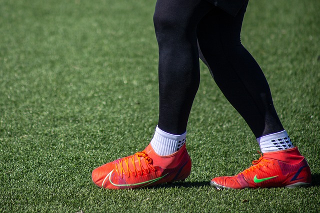 仅展示了两 仅展示了两