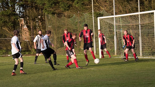 贏得他能夠 贏得他能夠