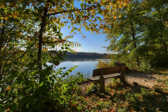 德里最近几 德里最近几