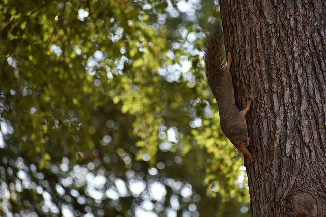 多年来养成 多年来养成